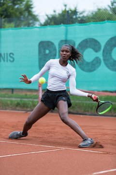 Noma Noha Akugue 245 - Klippeldon